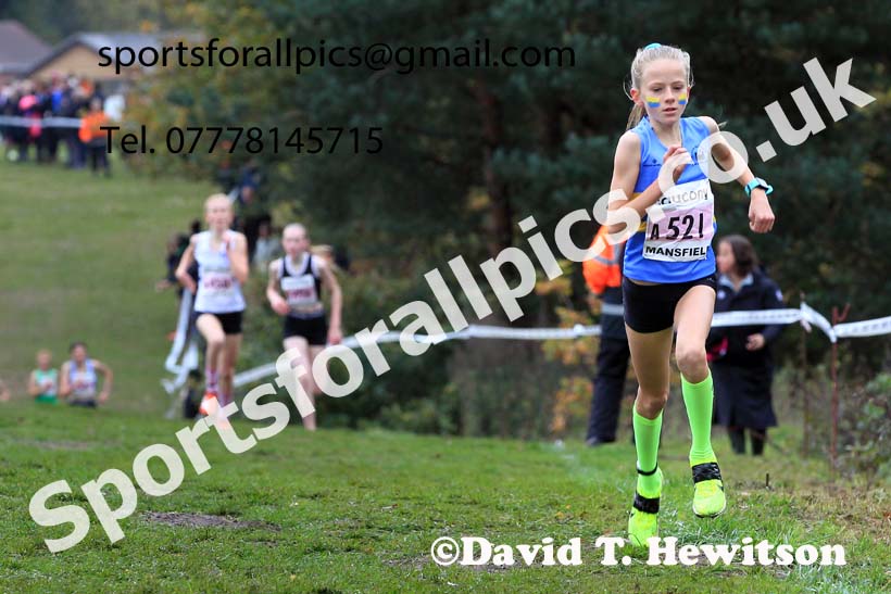 Girls Under-13s, 2022 National Cross Country Relays, Berry Hill Park, Mansfield.  Photo: David T. Hewitson/Sports for All Pics